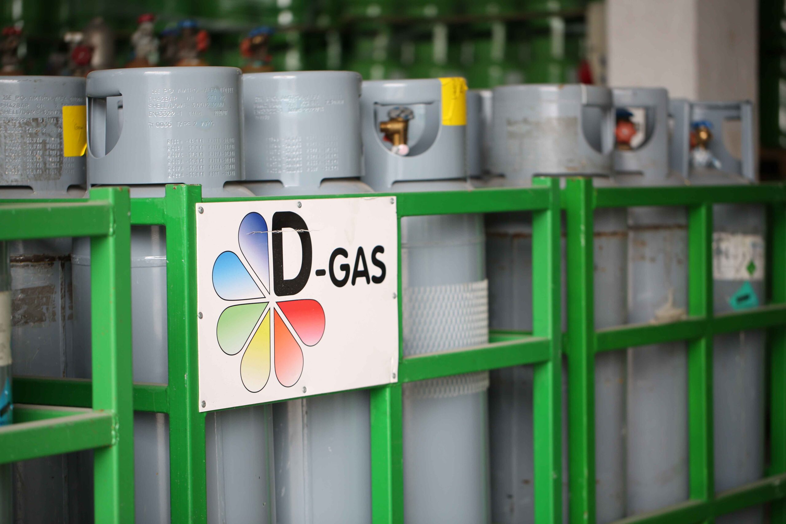 D-Gas | Hakkımızda